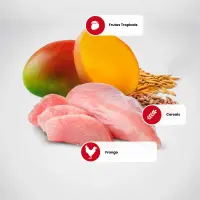 Ração N&amp;D Tropical Selection Gatos Castrados Frango