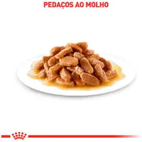 Ração Úmida Royal Canin Sachê Hair e Skin Gatos Adultos