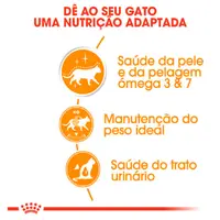 Ração Úmida Royal Canin Sachê Hair e Skin Gatos Adultos