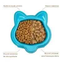 Ração Úmida Joy Gatos Adultos Carne ao Molho