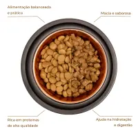Ração Úmida Joy Cães Adultos Frango ao Molho
