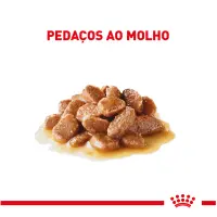 Ração Úmida Royal Canin Ageing 11+ Gatos Adultos