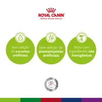 Ração Royal Canin Exigent para Gatos Adultos com Paladar Exigente