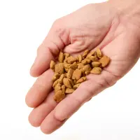 Ração Golden Fórmula Light Cães Adultos Frango, Arroz e Vegetais