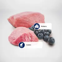 Ração N&amp;D Prime Canine Cães Adultos Mini Cordeiro e Blueberry