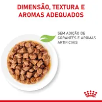 Ração Úmida Royal Canin Kitten Gatos Filhotes