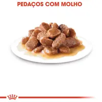 Ração Úmida Royal Canin Instinctive Gatos adultos