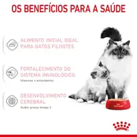Ração Úmida Royal Canin Mother e Babycat