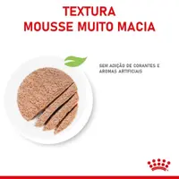 Ração Úmida Royal Canin Mother e Babycat
