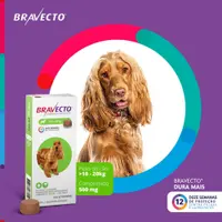 Antipulgas e Carrapatos Bravecto 10 kg a 20 kg Cães 500mg