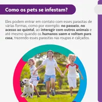 Antipulgas e Carrapatos Bravecto 10 kg a 20 kg Cães 500mg