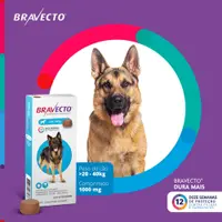 Antipulgas e Carrapatos Bravecto 20 a 40 kg Cães 1000mg