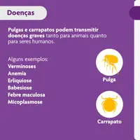 Antipulgas e Carrapatos Bravecto 20 a 40 kg Cães 1000mg
