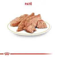 Ração Úmida Royal Canin Lata Veterinary Diet Hypoallergenic para Cães Adultos com Alergias