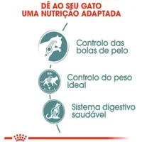 Ração Úmida Royal Canin Bolas de Pelo Gatos Adultos
