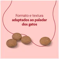 Ração Royal Canin Super Premium Cat para Gatos Adultos Castrados