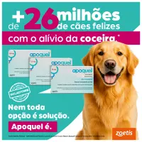 Apoquel 5,4 mg - Tratamento para coceira em Cães