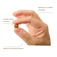 Petisco DentaLife Gatos Adultos