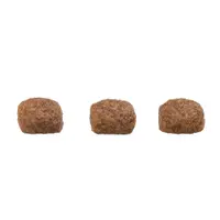 Ração GranPlus Menu Cães Adultos Mini Carne e Arroz