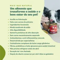 Ração Úmida Pet Delícia Cães Panelinha de Carne