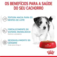 Ração Úmida Royal Canin Mini Puppy Cães Filhotes