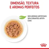Ração Úmida Royal Canin Mini Puppy Cães Filhotes