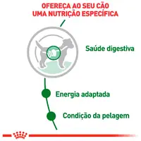 Ração Úmida Royal Canin Mini Adult Cães Adultos