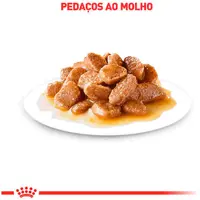 Ração Úmida Royal Canin Mini Adult Cães Adultos