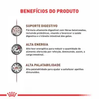 Ração Úmida Royal Canin Gastrointestinal Gatos Adultos