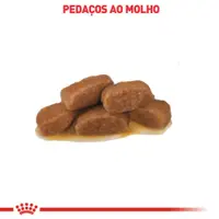 Ração Úmida Royal Canin Gastrointestinal Gatos Adultos