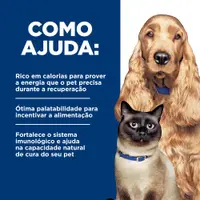 Ração Úmida Hill's Prescription Diet A/D Cães e Gatos em Condições Críticas
