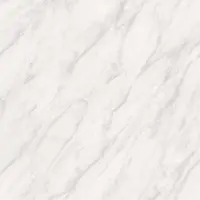 Cerâmica Piso Forte 50,8x50,8cm Palmas Gr Brilhante Classe A PEI 4