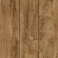 Cerâmica Piso Forte 50,8x50,8cm HD Samoa Brilhante Classe A PEI 4