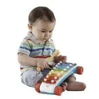 Xilofone para Bebês - Fisher-Price - Colorido