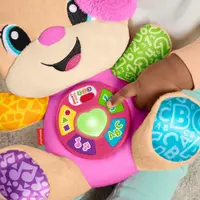 Pelúcia - Aprender e Brincar - Irmã do Cachorrinho - Aprende Comigo - Fisher-Price
