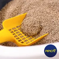 Areia Pipicat Classic para Gatos