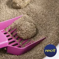 Areia Pipicat Perfumada Floral para Gatos