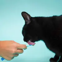 Petisco Churu Cremoso Atum para Gatos