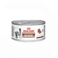 Ração Úmida Royal Canin Lata Veterinary Diet Recovery para Cães e Gatos em Recuperação