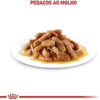 Ração Úmida Royal Canin Gatos Castrados Adultos Pedaços ao Molho