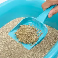 Areia Higiênica Mineral Multigrãos Myhug