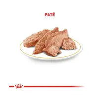 Ração Úmida Royal Canin Gastrointestinal Low Fat Cães Adultos