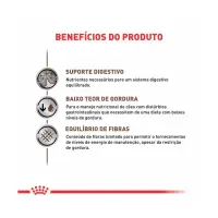 Ração Úmida Royal Canin Gastrointestinal Low Fat Cães Adultos