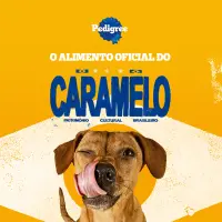 Biscoito Pedigree Biscrok para Cães Adultos Multi