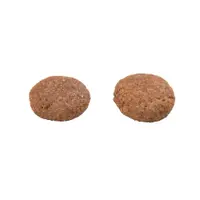 Ração GranPlus Menu Cães Adultos Carne e Arroz
