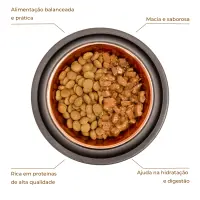 Ração Úmida Joy Cães Adultos Carne ao Molho